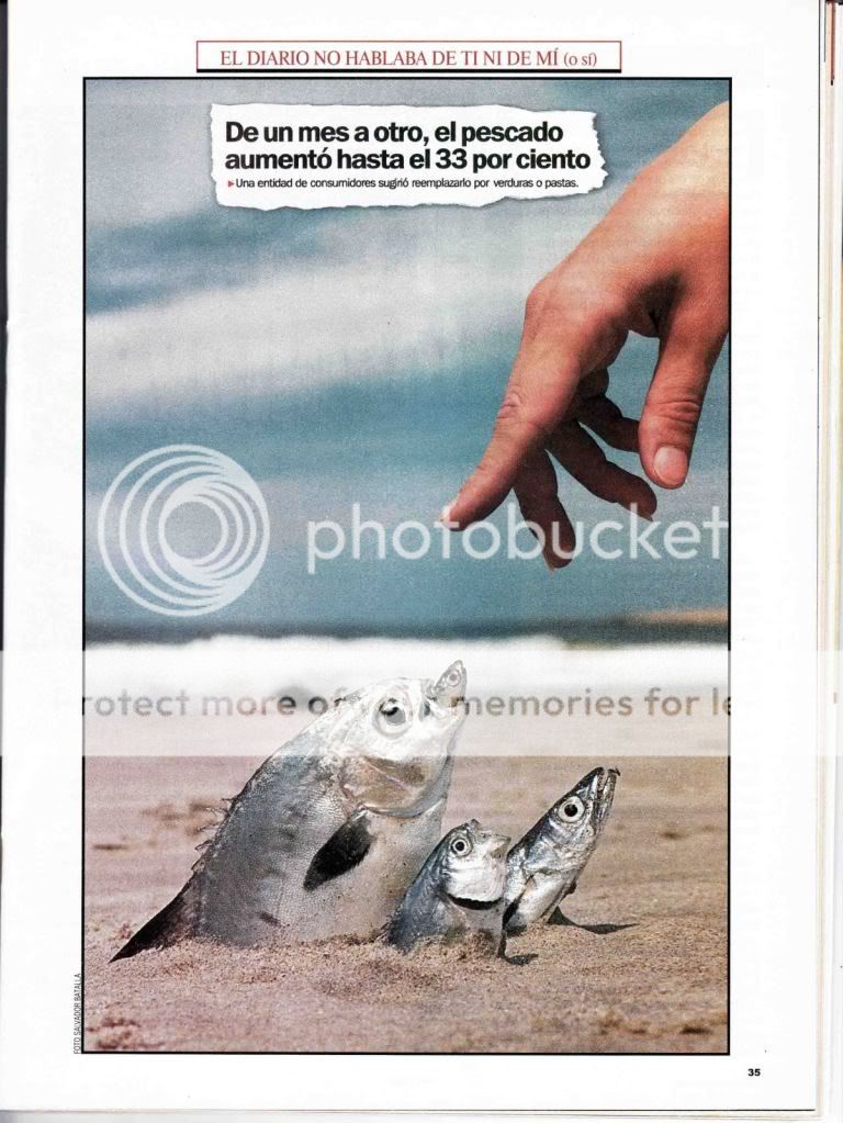 fotos fotos