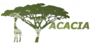 Acacia