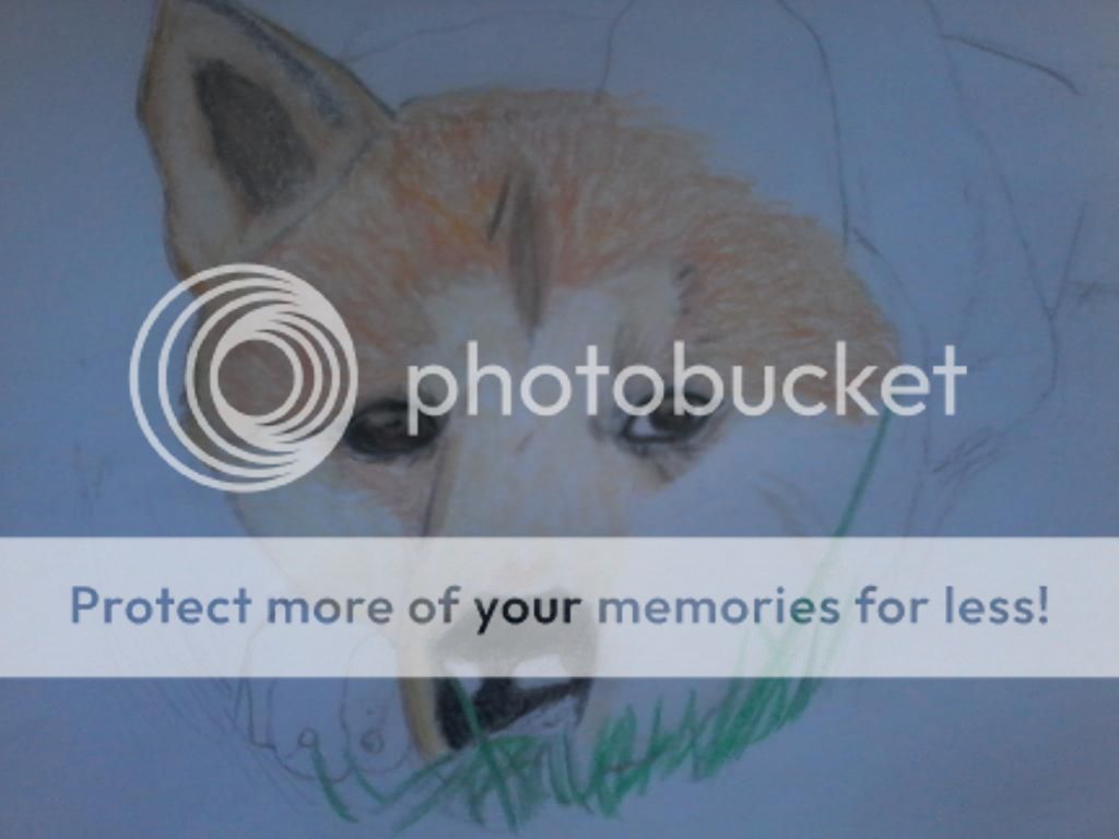 Dibujo de Hachiko Dibujo de Hachiko