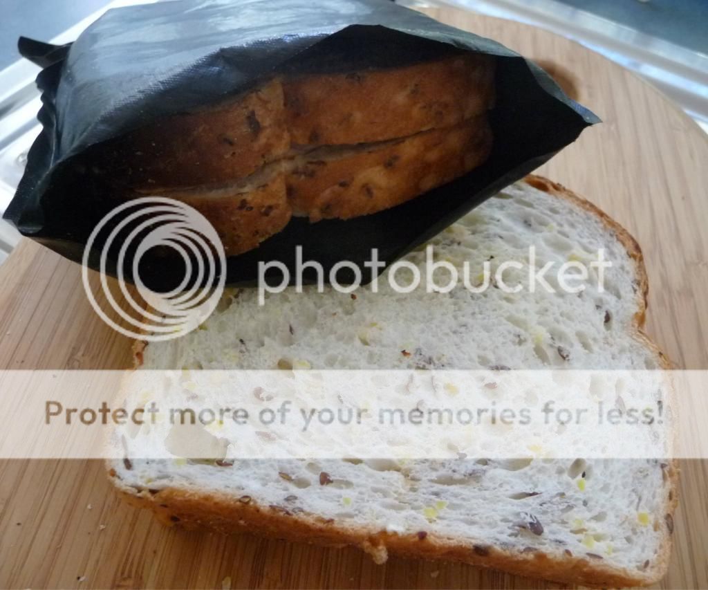 toasted sandwiches in a toaster