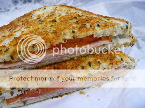 toasted sandwiches cooked in a toasty bag