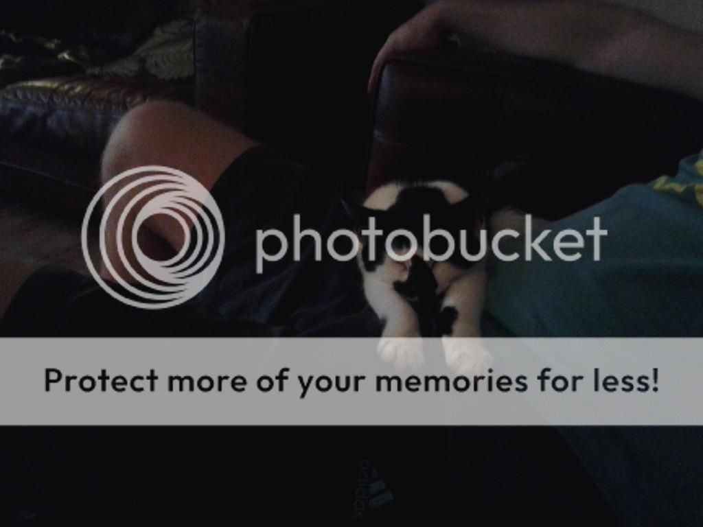 20140113_213304_zps3cd0d32f.jpg