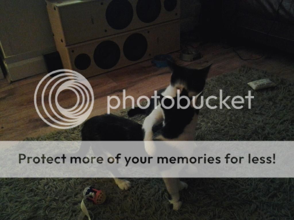 20140113_214453_zps50e2a50d.jpg