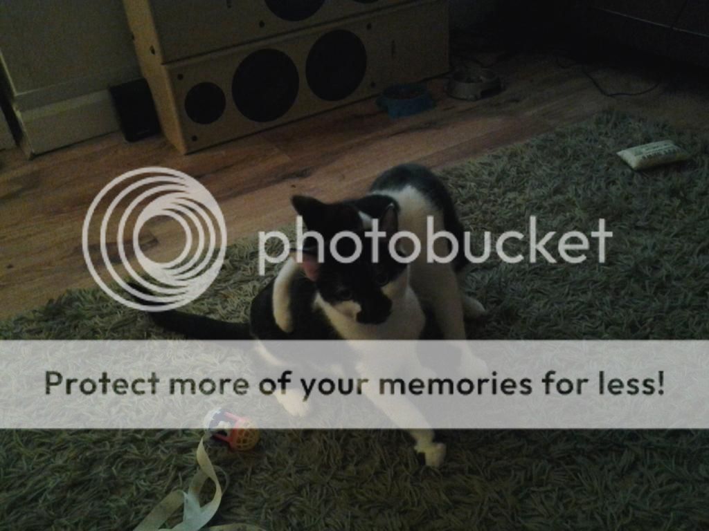 20140113_214512_zps506ff5c8.jpg