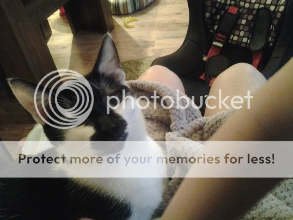20140116_084421_zpse38f900d.jpg